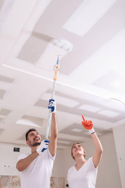 Trusted Dale, PA Mold Removal Experts